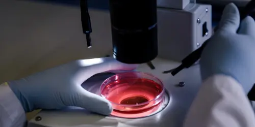Preparation of regenerative biologic therapy for joint and nerve repair in Oakdale Louisiana